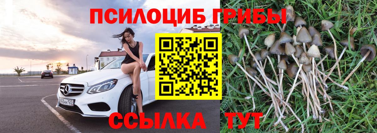 Псилоцибиновые грибы Psilocybine cubensis Смоленск